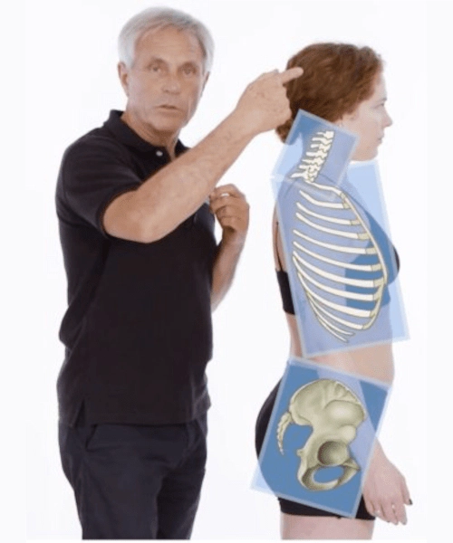 Billdet viser forsidebilledet til kurset - Anatomy Trains Structural Integration.