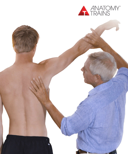 Billedet viser forsidebilledet til kurset - Freeing the Shoulders and Arms