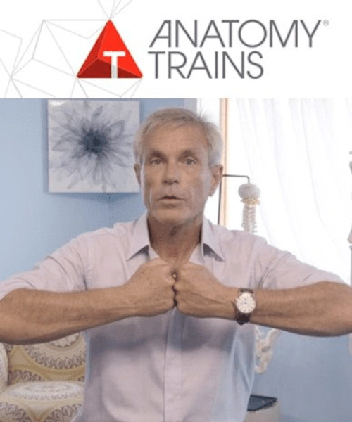 Billedet viser forsidebilledet til kurset - How Fascia Moves.