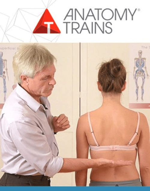 Billedet viser forsidebilledet til kurset - BodyReading: Visual Assessment of the Anatomy Trains.