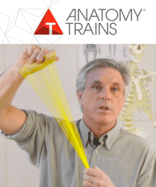 Billedet viser forsidebilledet til kurset - Fascia In Movement Webinar Series.