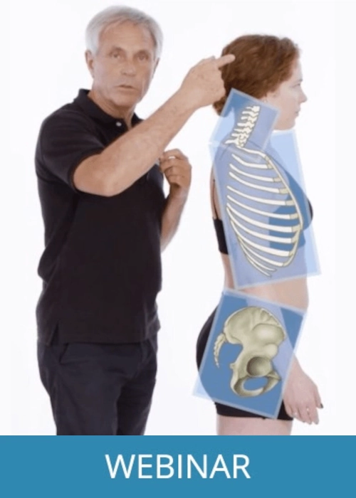 Billedet viser forsidebillede til kurser - Anatomy Trains Structural Integration.