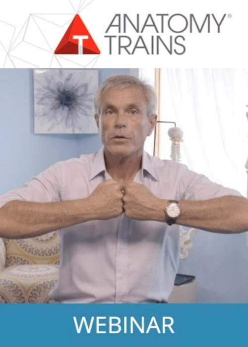 Billedet viser forsidebilledet til kurset - How Fascia Moves.