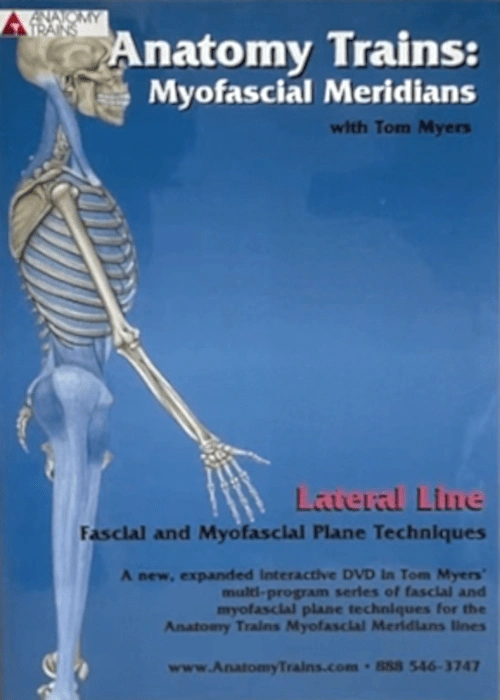 Billedet viser forsidebilledet til kurset - Lateral Line.