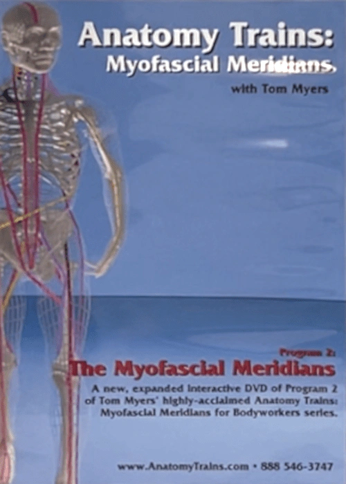 Billedet viser forsidebilledet til kurset - The Myofasial Meridians.