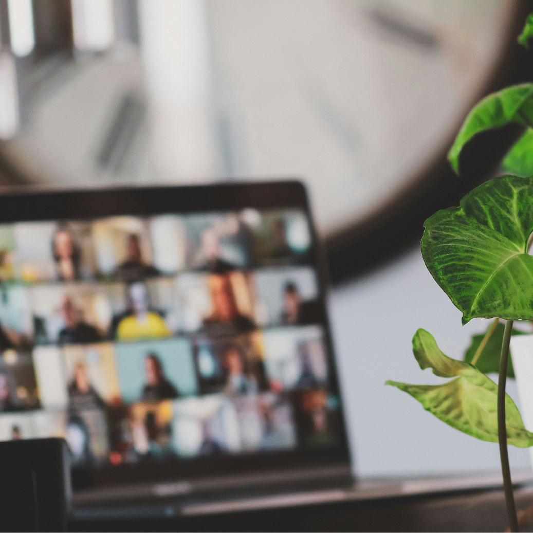 Video Call with Plant in Foreground