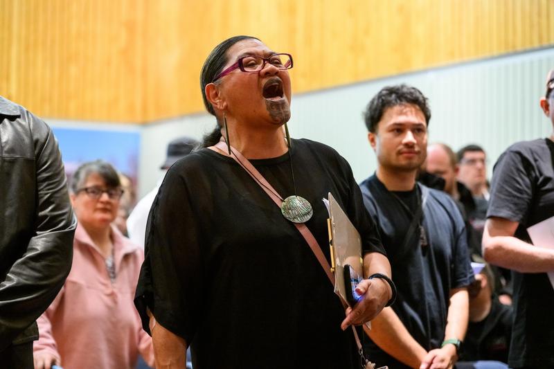 Te Ngākautaki o ngā Kāhui-maunga Kapa Haka Festival in the Central Region
