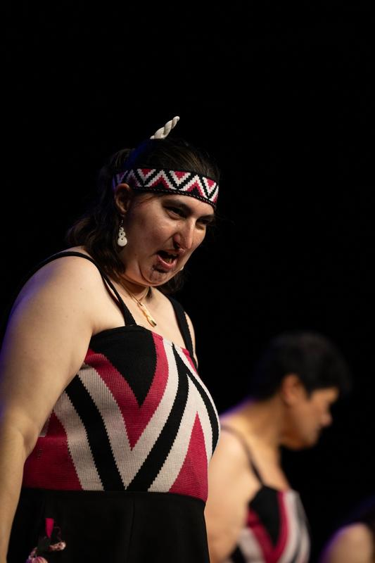 Te Hoenga Waka Kapa Haka Festival in the Northern Region