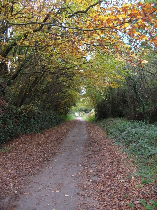 October half term 2020