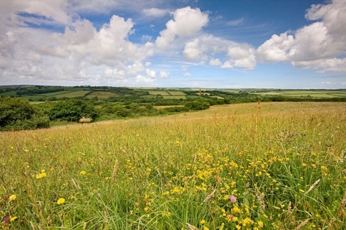 Sign Nature Recovery Declaration