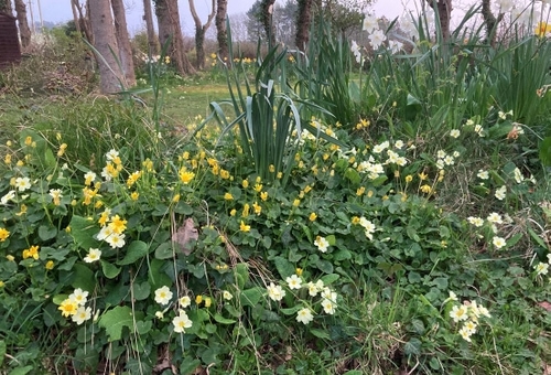 2021 Nature Award Winners: Gardener