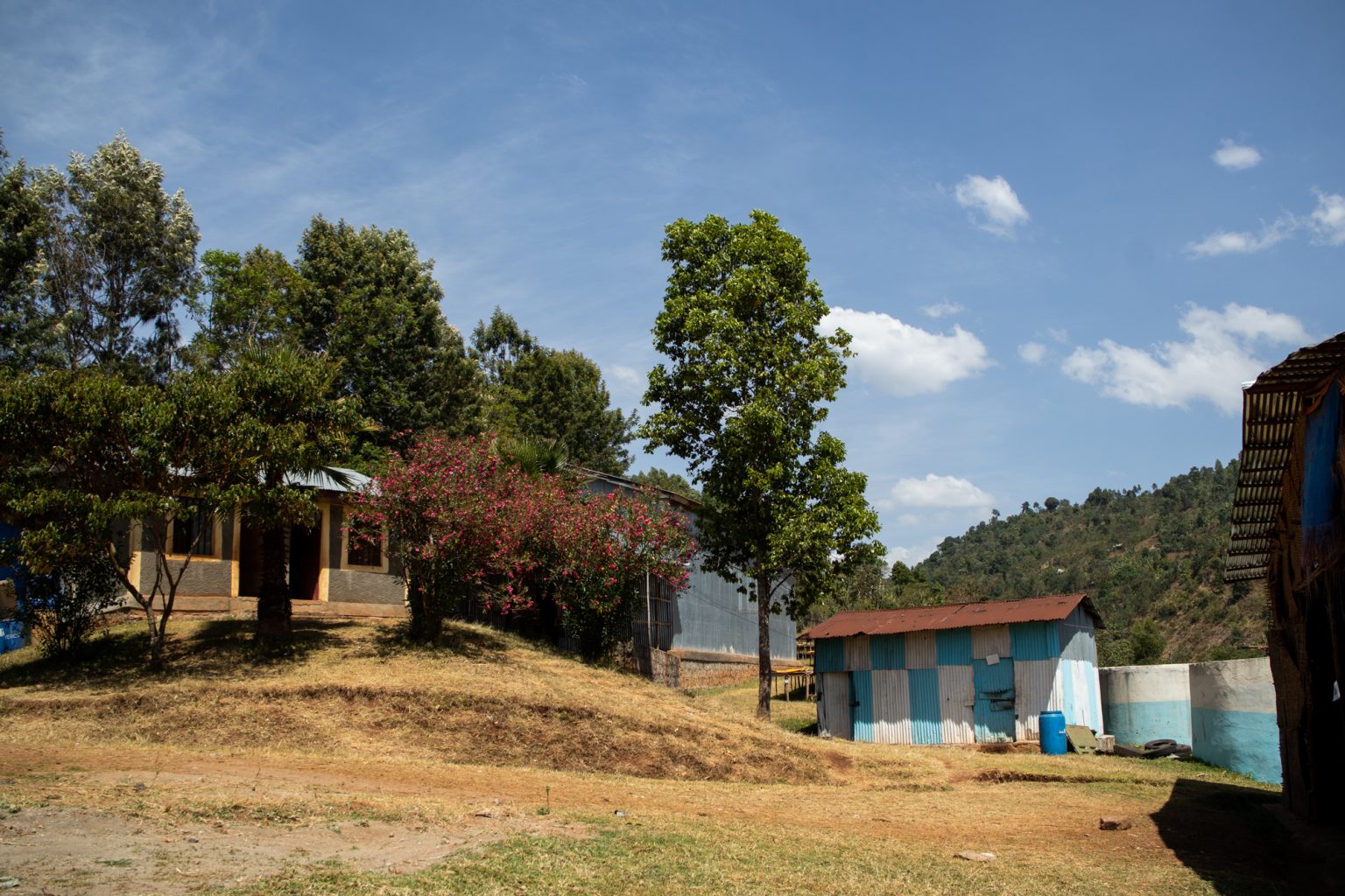 Ethiopia Ayla Bombe