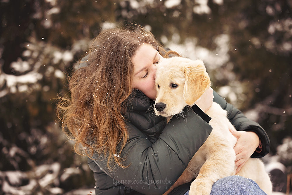 Photo chiot dans la neige lors d'une séance photo hivernale