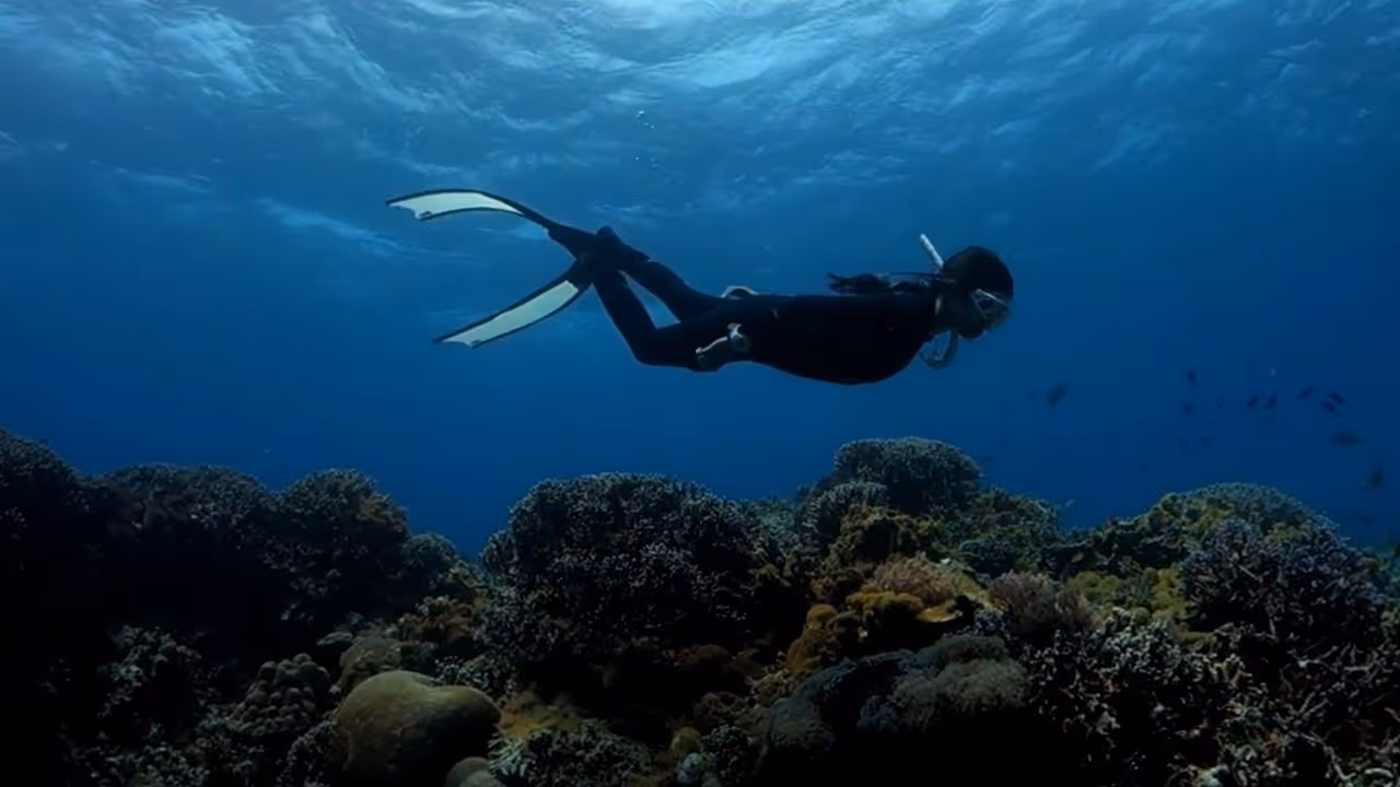 In this final chapter of the Grid Expedition II, our team and community leaders emphasize that the success of this project hinges on stakeholders to pass this stream of knowledge to the next generation.