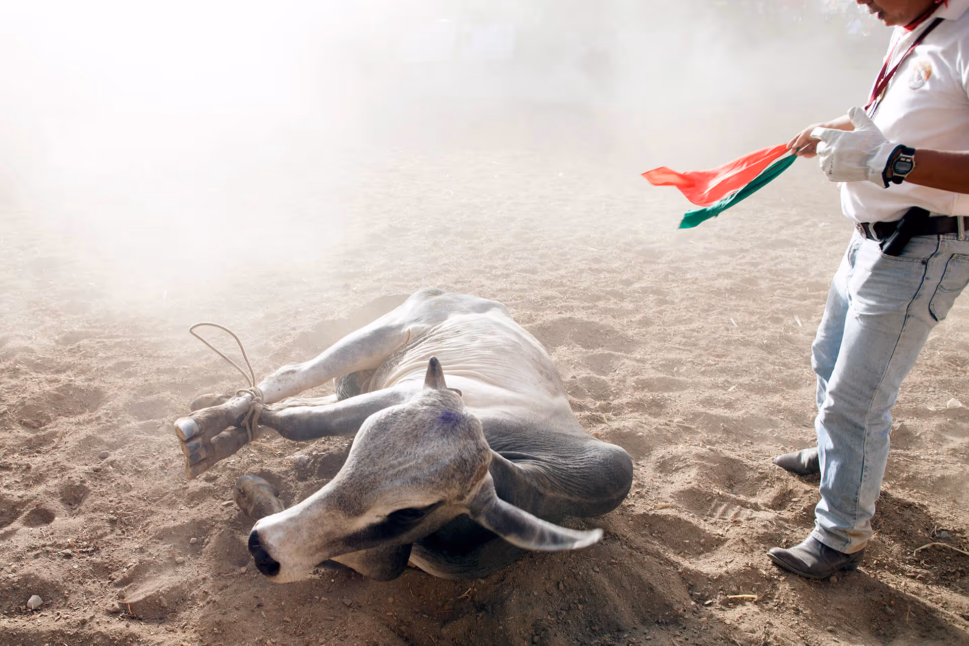 A Man Called Horsefly & Other Stories From the Masbate Rodeo