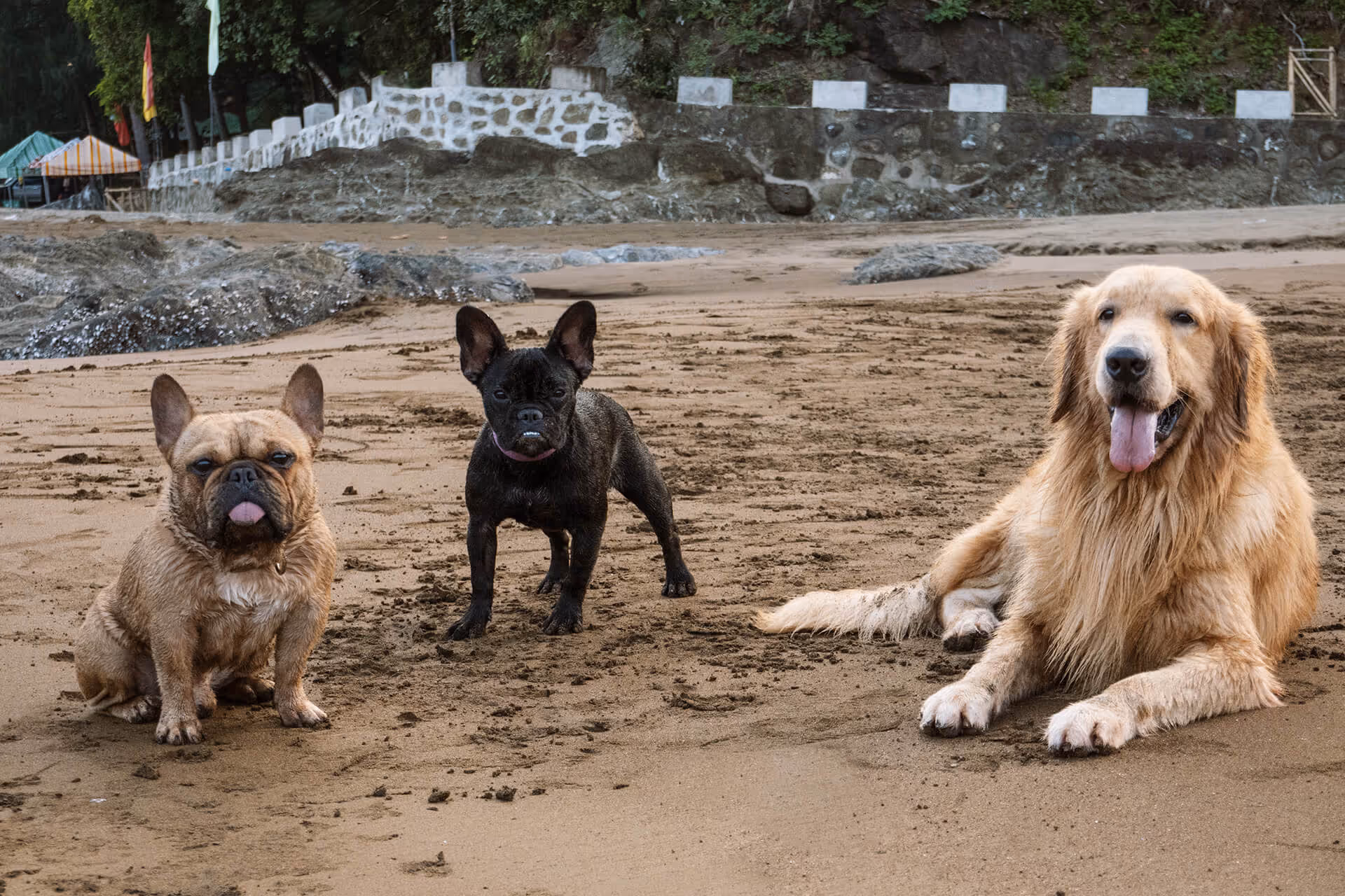 With excellent auto-focus, speedy response time, and a 20 mega-pixel output, the pocket-sized Sony RX100 VII packs quite the punch.