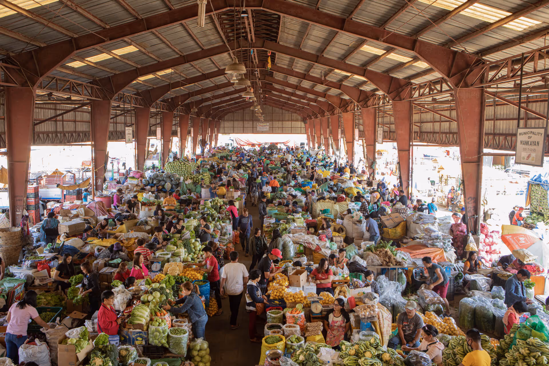 Where the Green Grass Grows