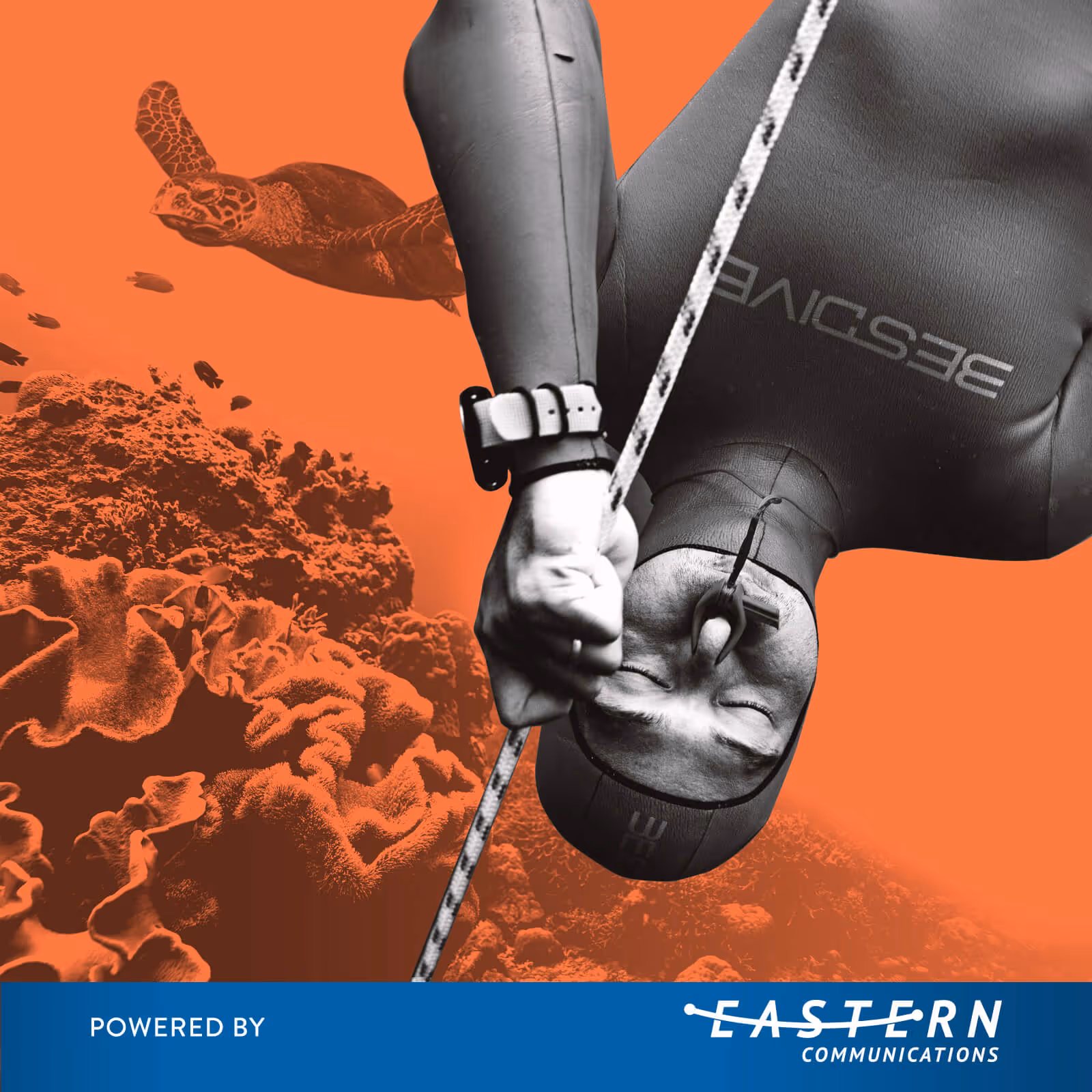 Freediving in the Philippines