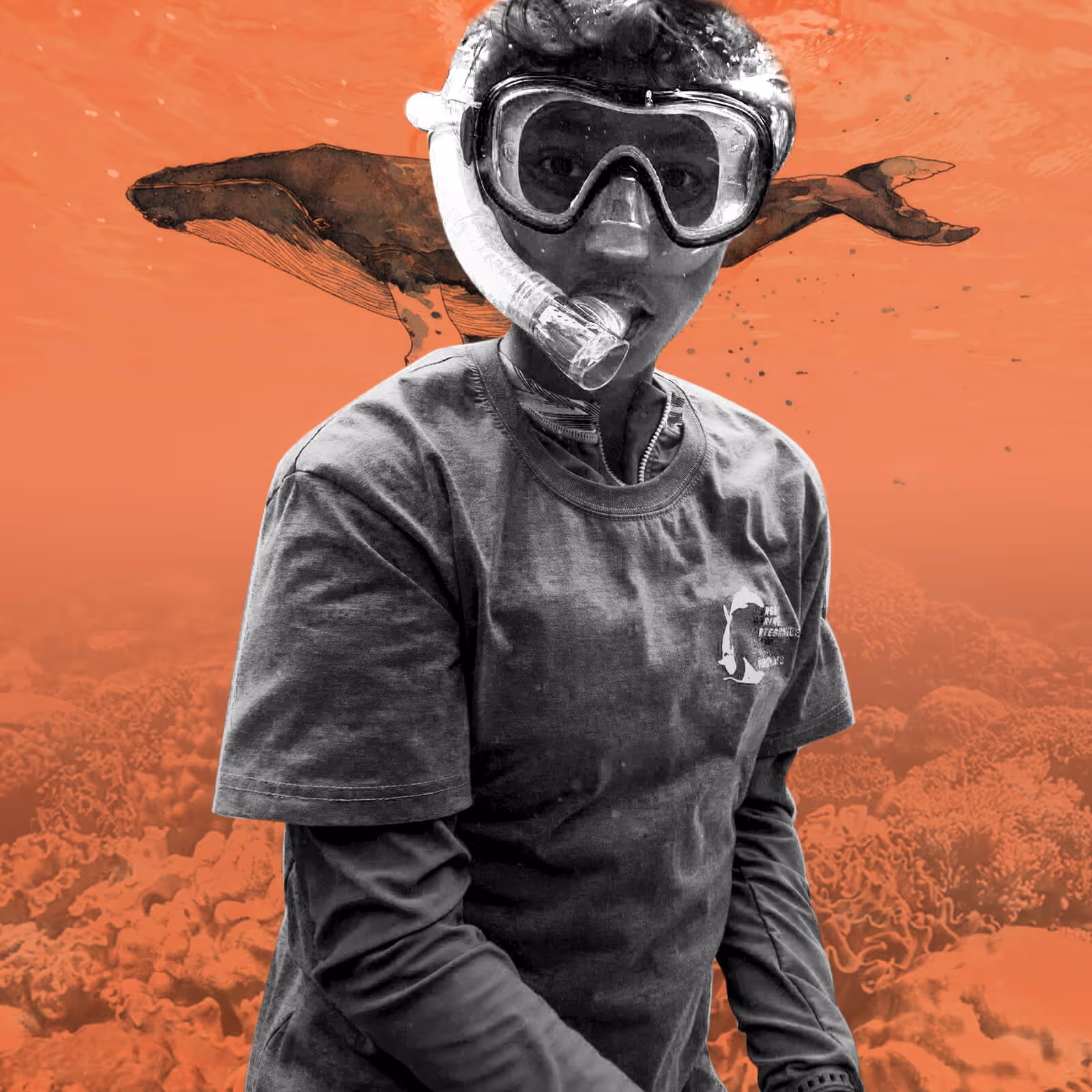 Touted as the center of marine biodiversity, the Philippines plays an important role in global marine conservation. Join Paco as he dives into the waters of Bohol—figuratively speaking—to learn about 