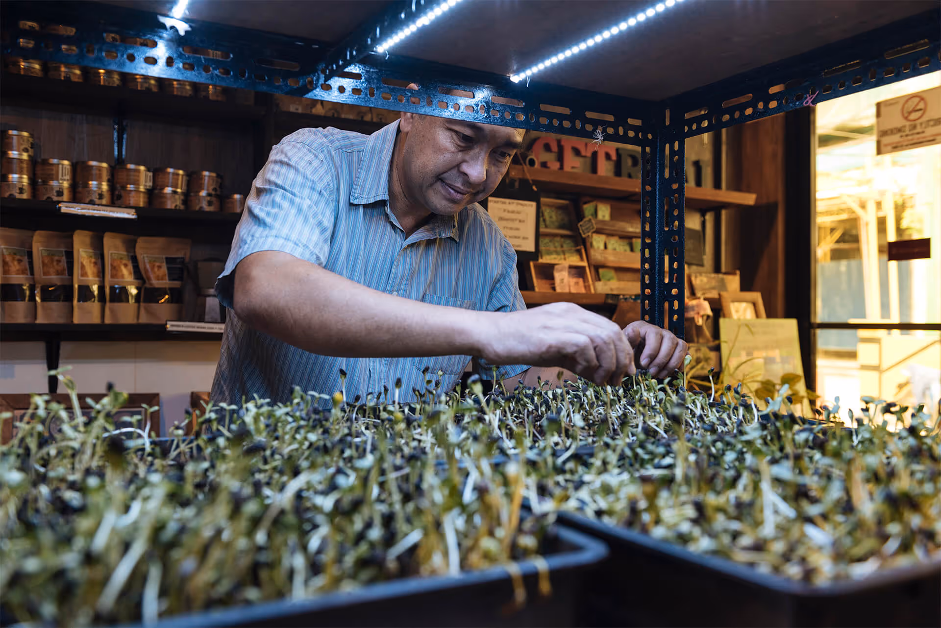 Not only is urban farming good for the environment, it’s also easy to do. Biodynamic farming expert Nicolo Aberasturi shows us how.