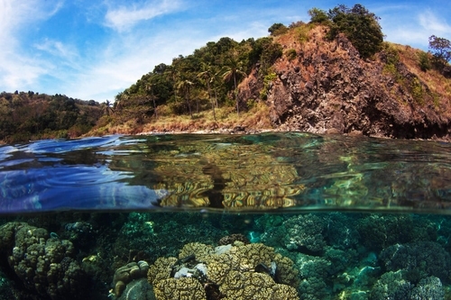 Fishermen, scientists, and environmental activists have been at work for decades in imaginary constructs called marine protected areas. This grand experiment started in Apo Island, through the work of one scientist, nearly 40 years ago.