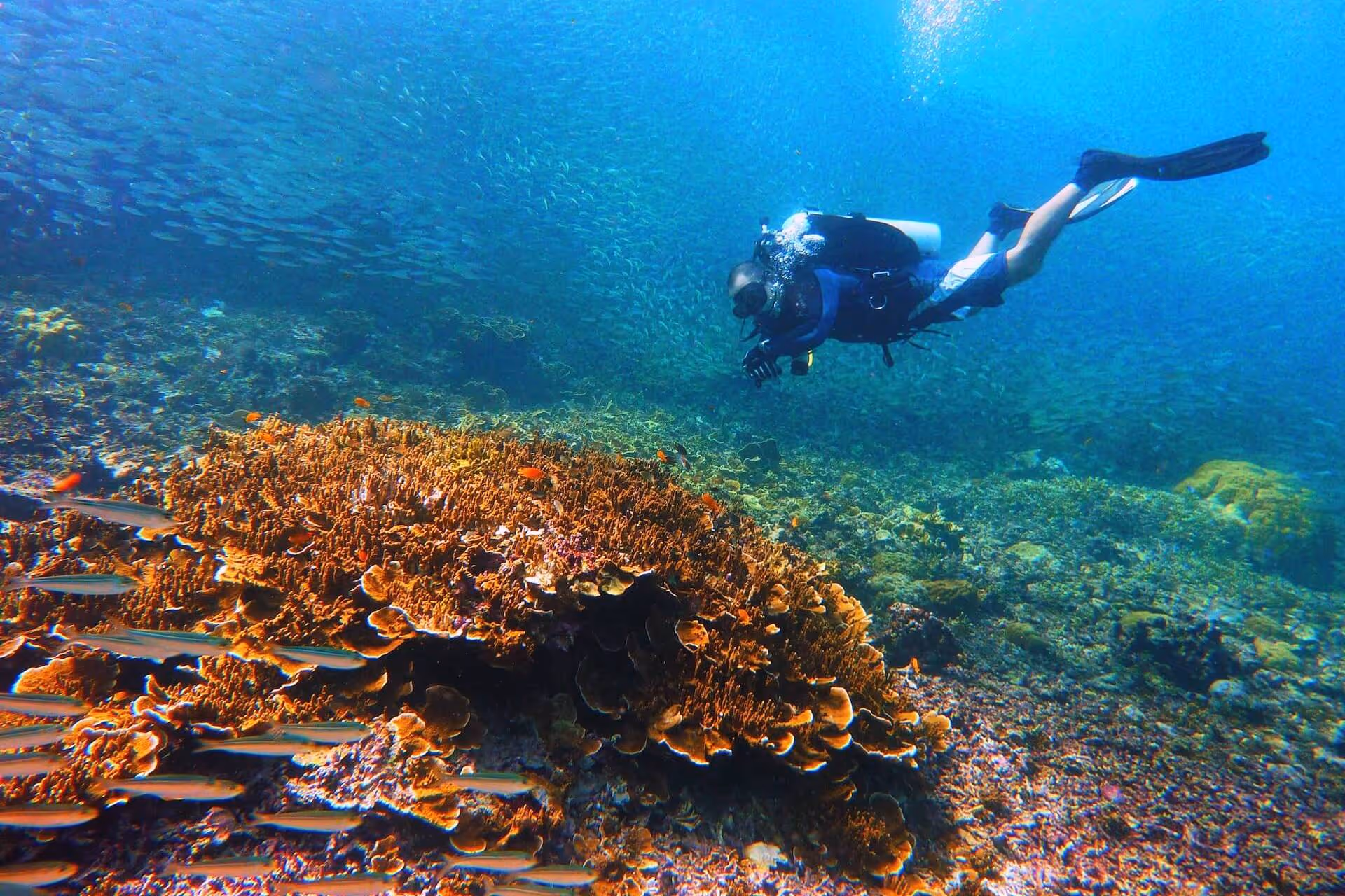 The Philippines is Asia’s leading dive and beach destination—again!