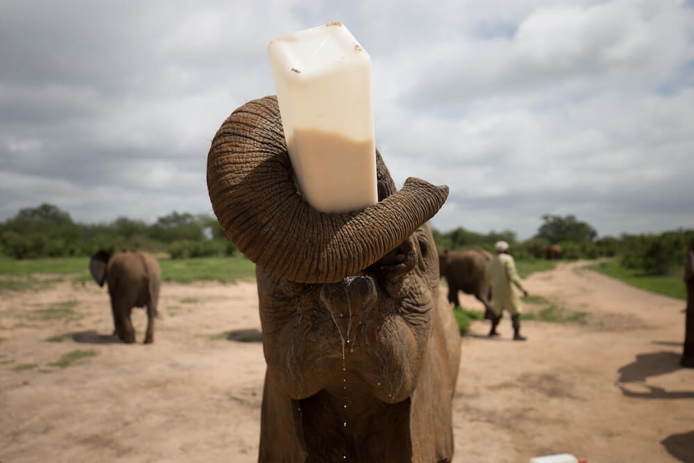 Kenya