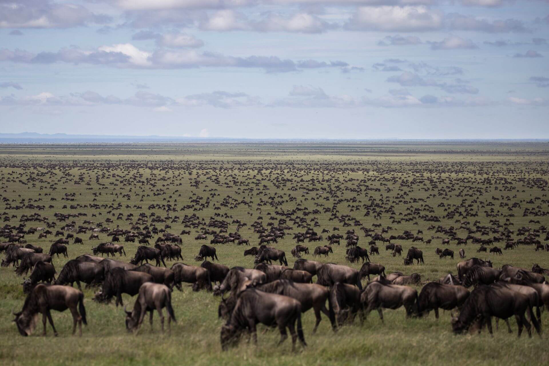 Tanzania