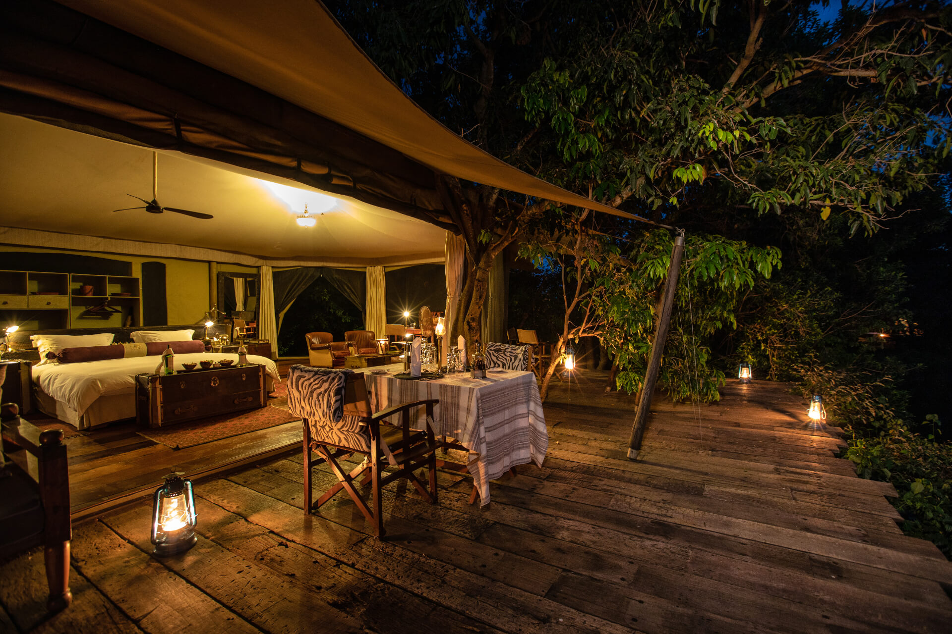 Luxury lodge pool overlooking the bush