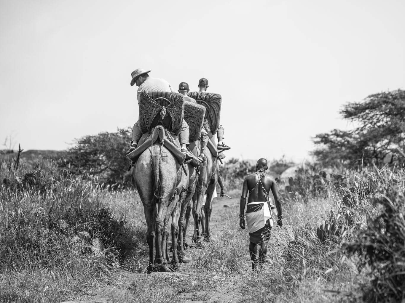 Camel Safaris
