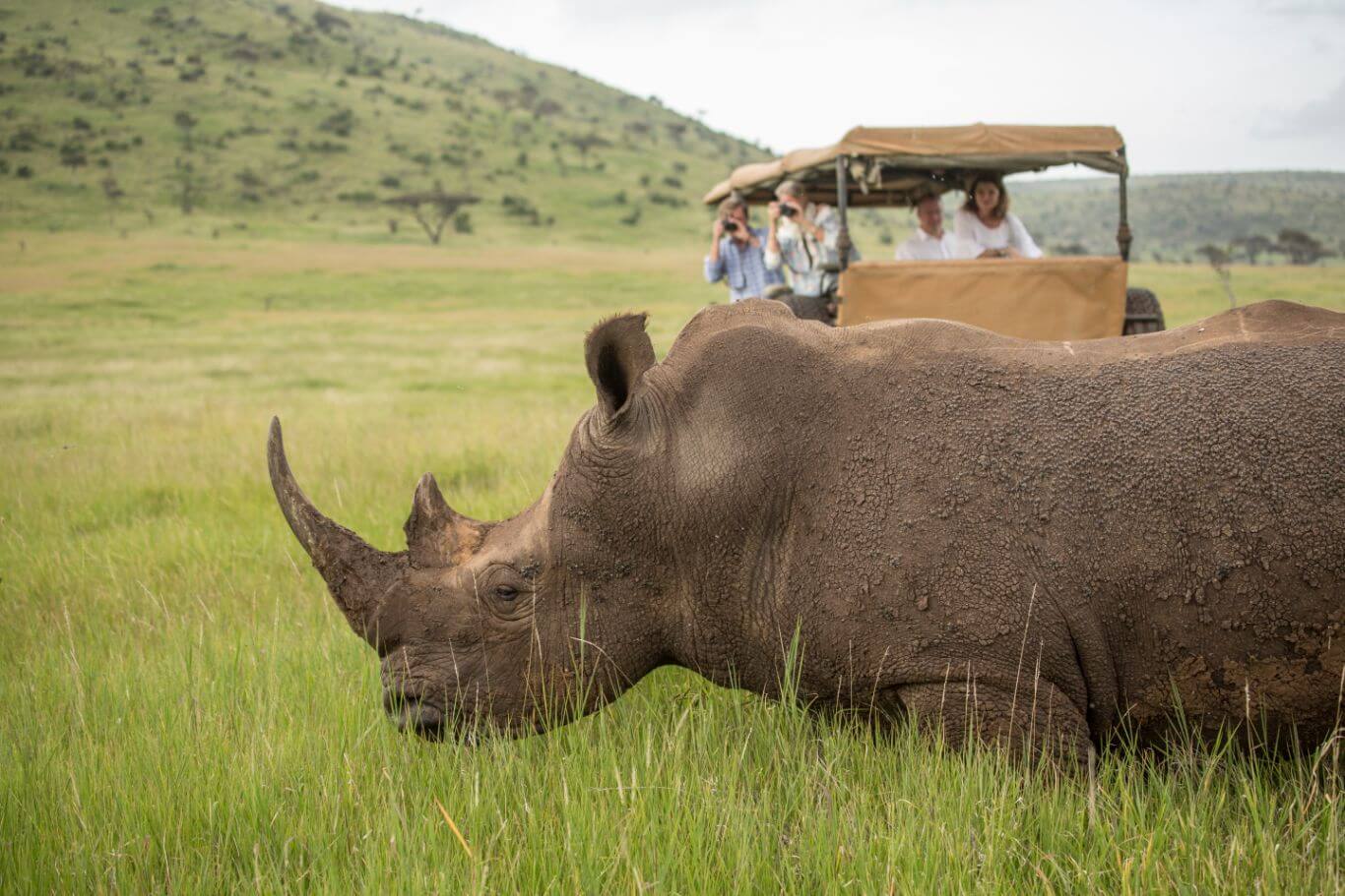 Conservation work in the field
