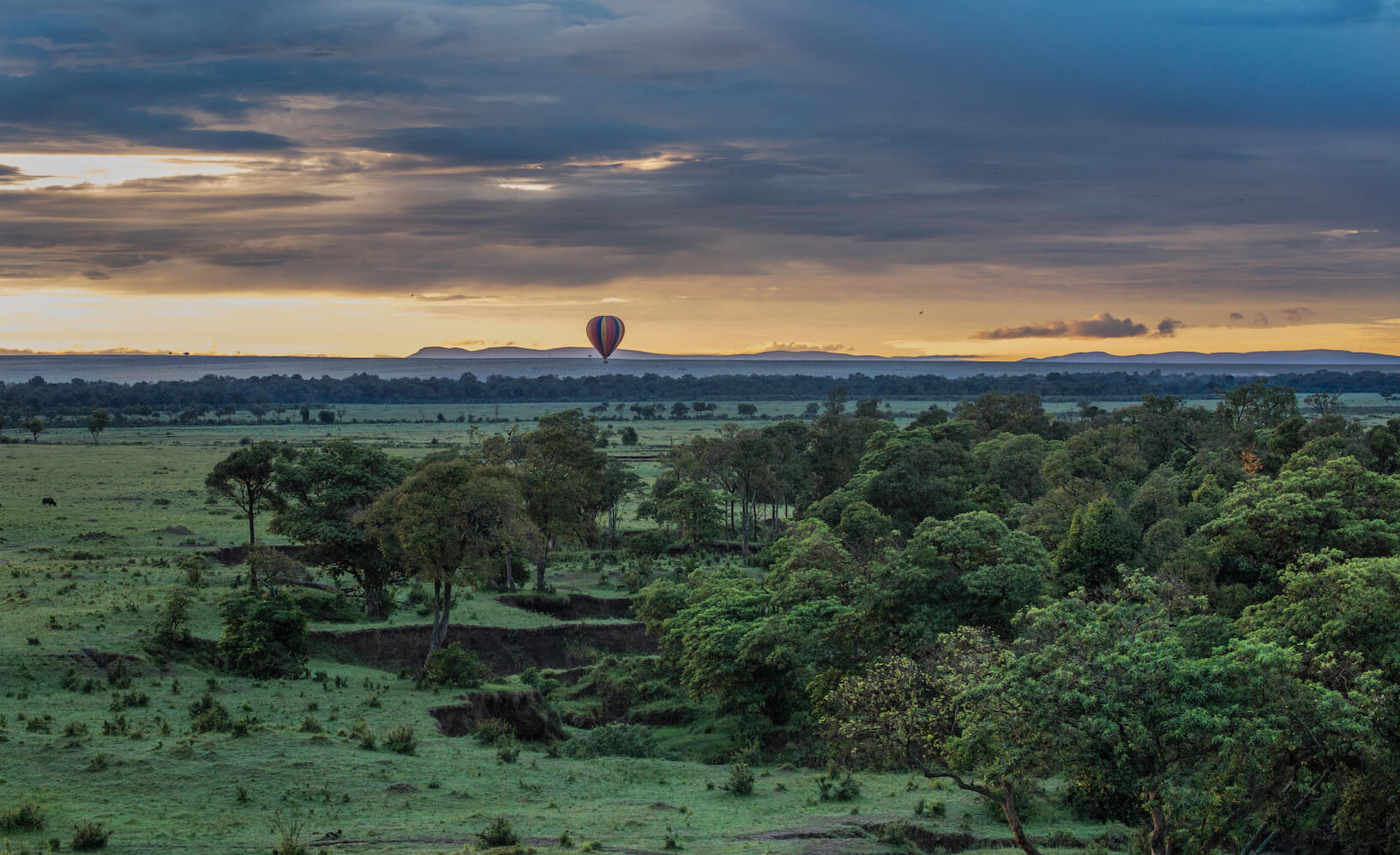 Balloon Rides