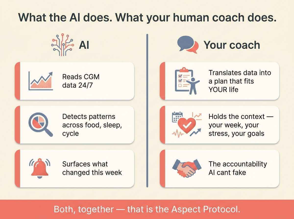 Two-column diagram contrasting what the Aspect AI does (reads CGM data, detects patterns, surfaces changes) with what the human coach does (translates data into a plan, holds context, provides accountability).