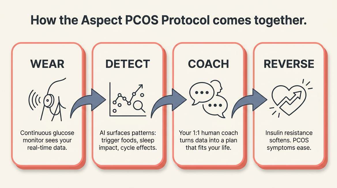 Four-step flow diagram of the Aspect PCOS Protocol: wear a CGM, AI detects your patterns, a human coach turns data into a plan, and insulin resistance softens over time.