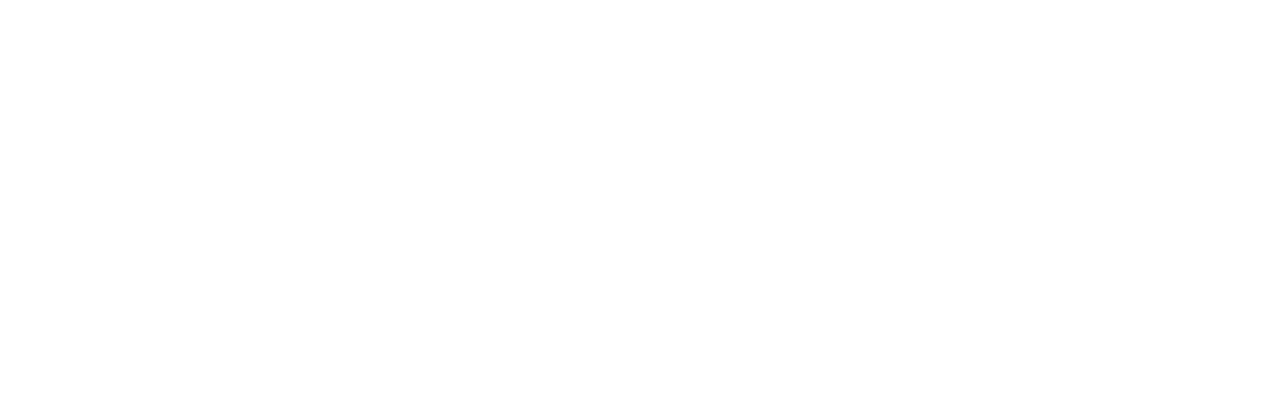 FutureView Systems