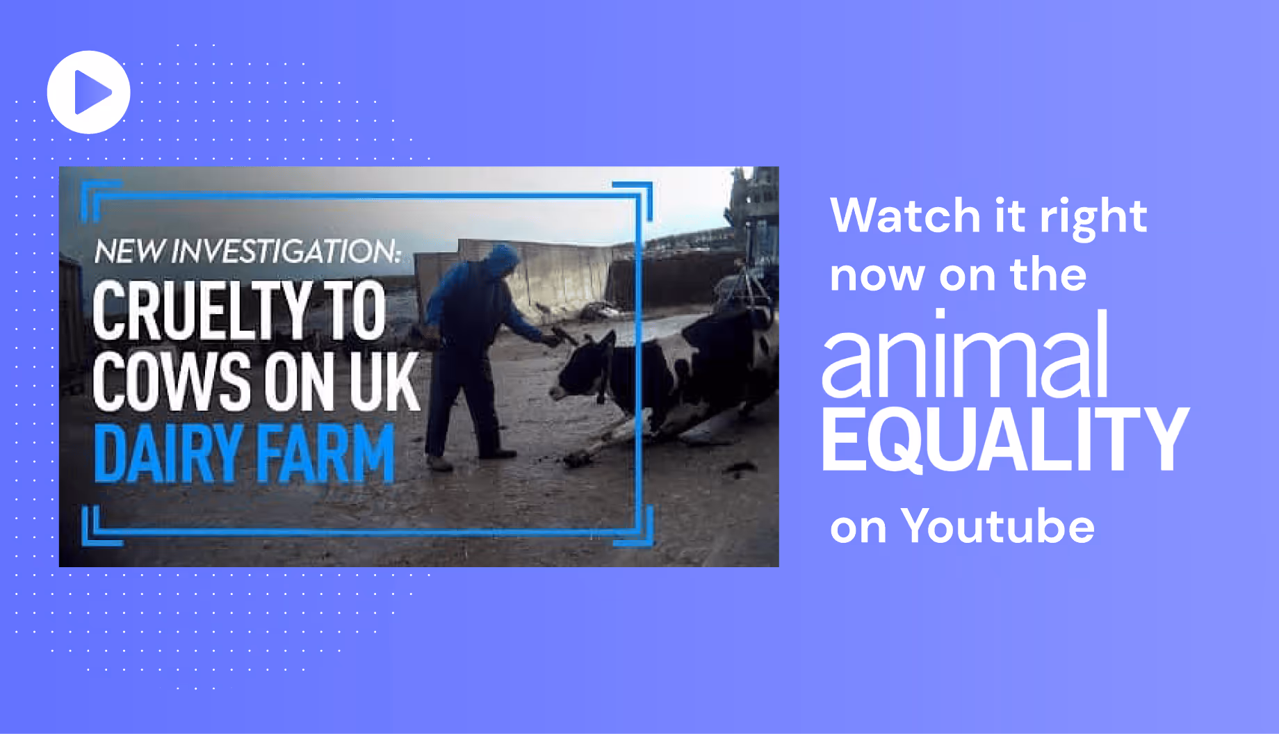 animal equality video case study landbot