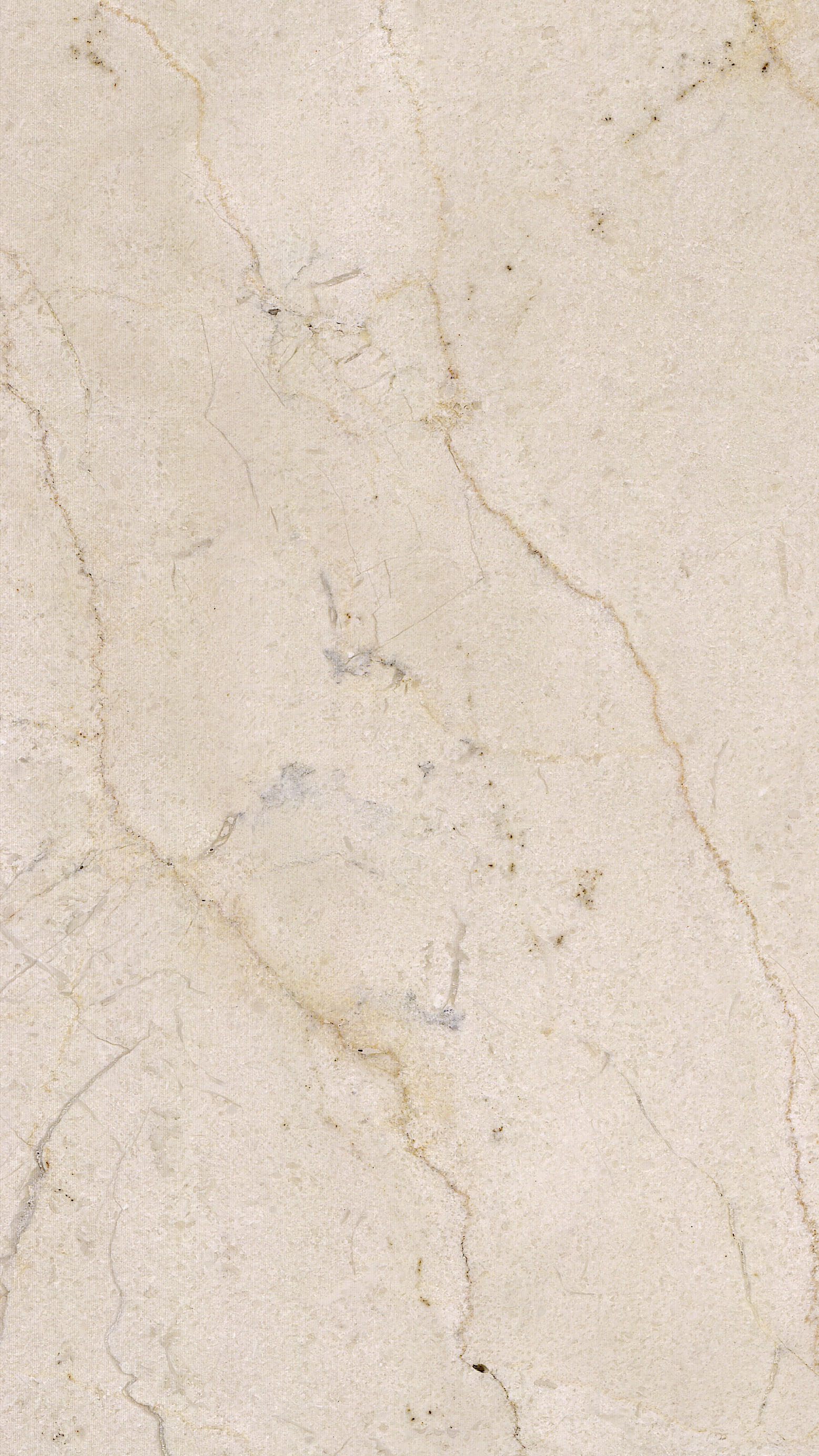 Crema Marfil Marble