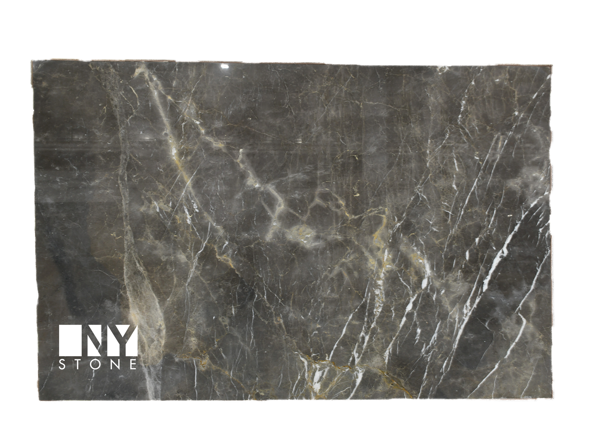 Grigio Collemandina Marble
