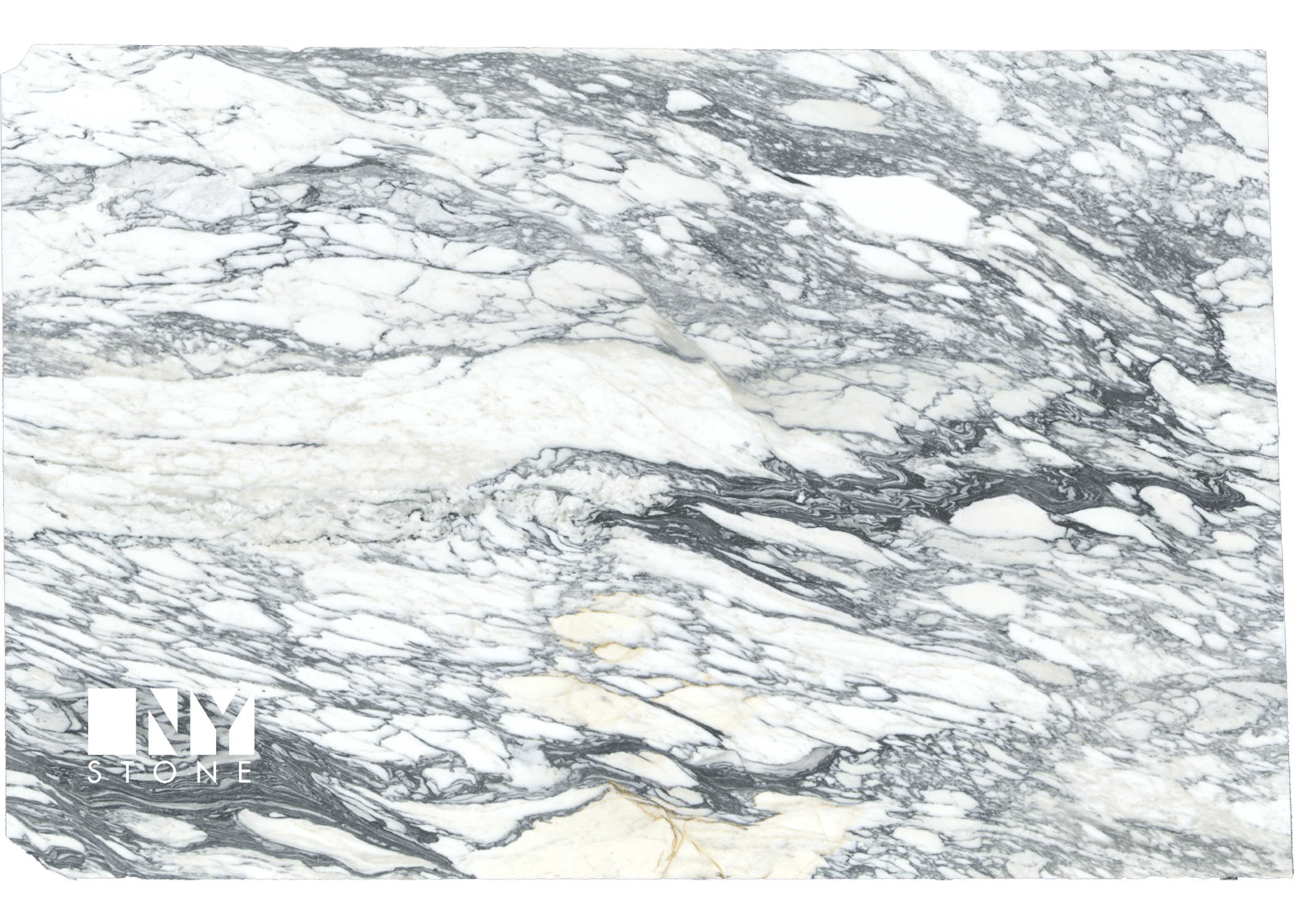 Arabescato Corchia Marble