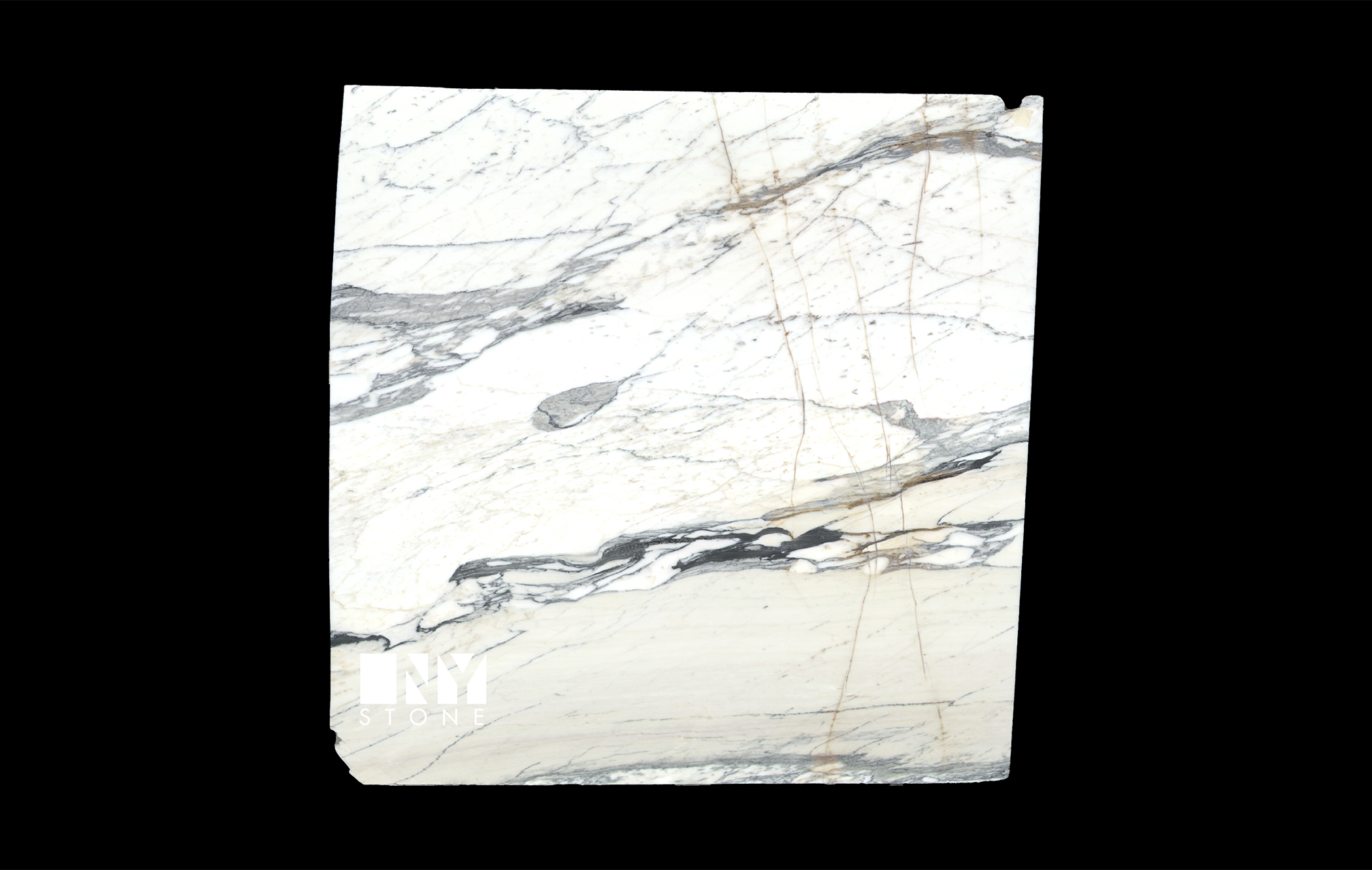 Arabescato Corchia Marble