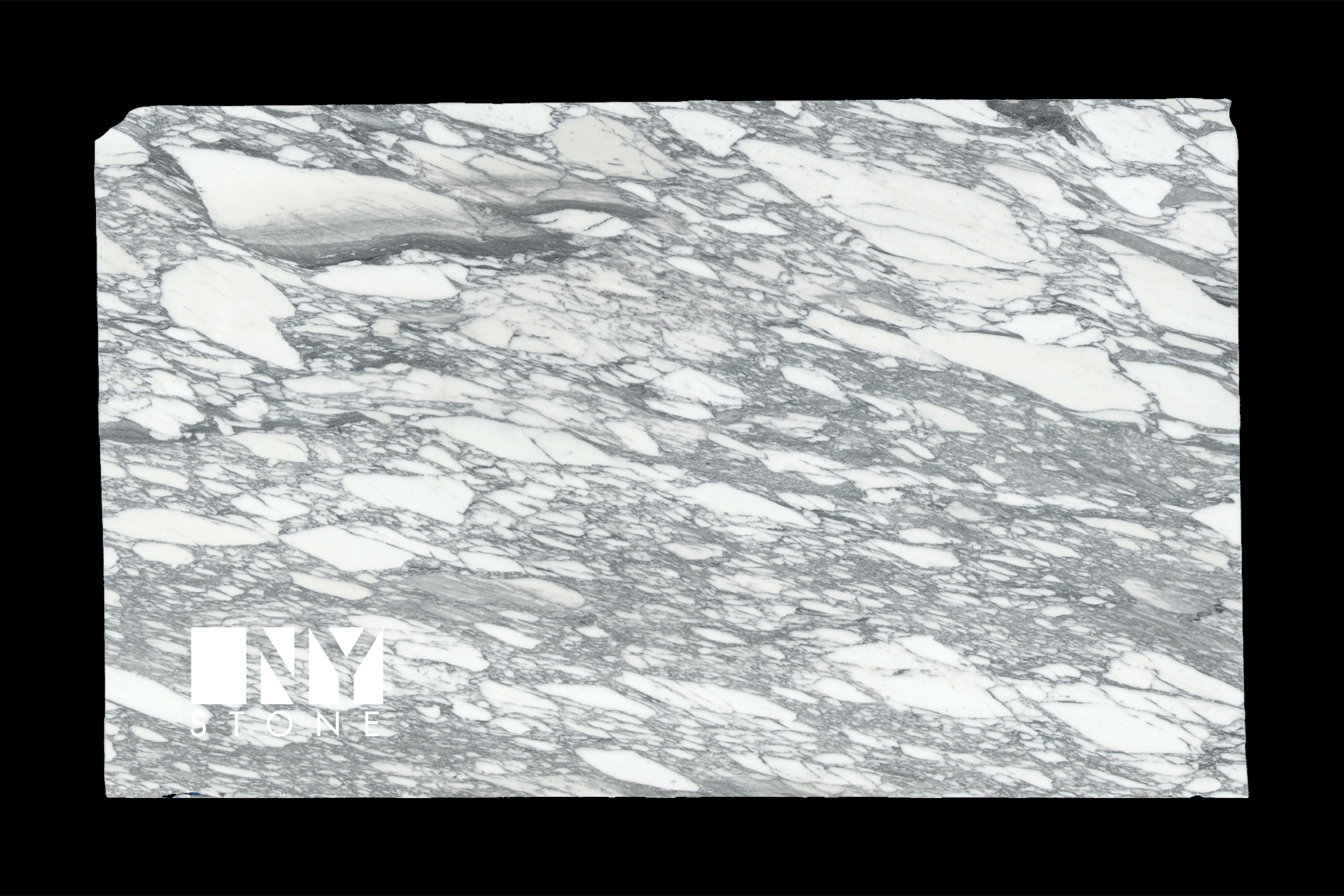 Arabescato Corchia Marble