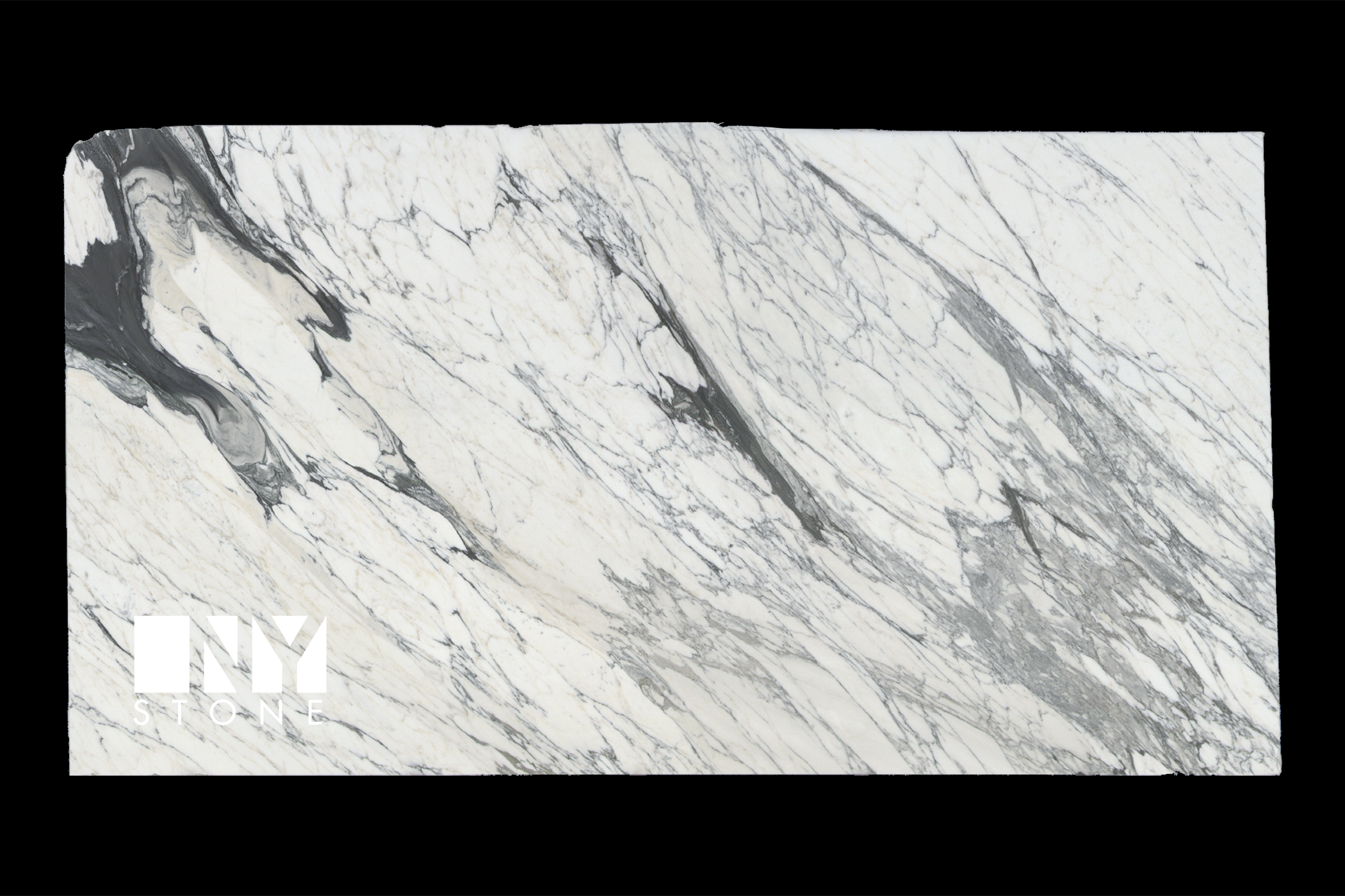 Arabescato Corchia Marble