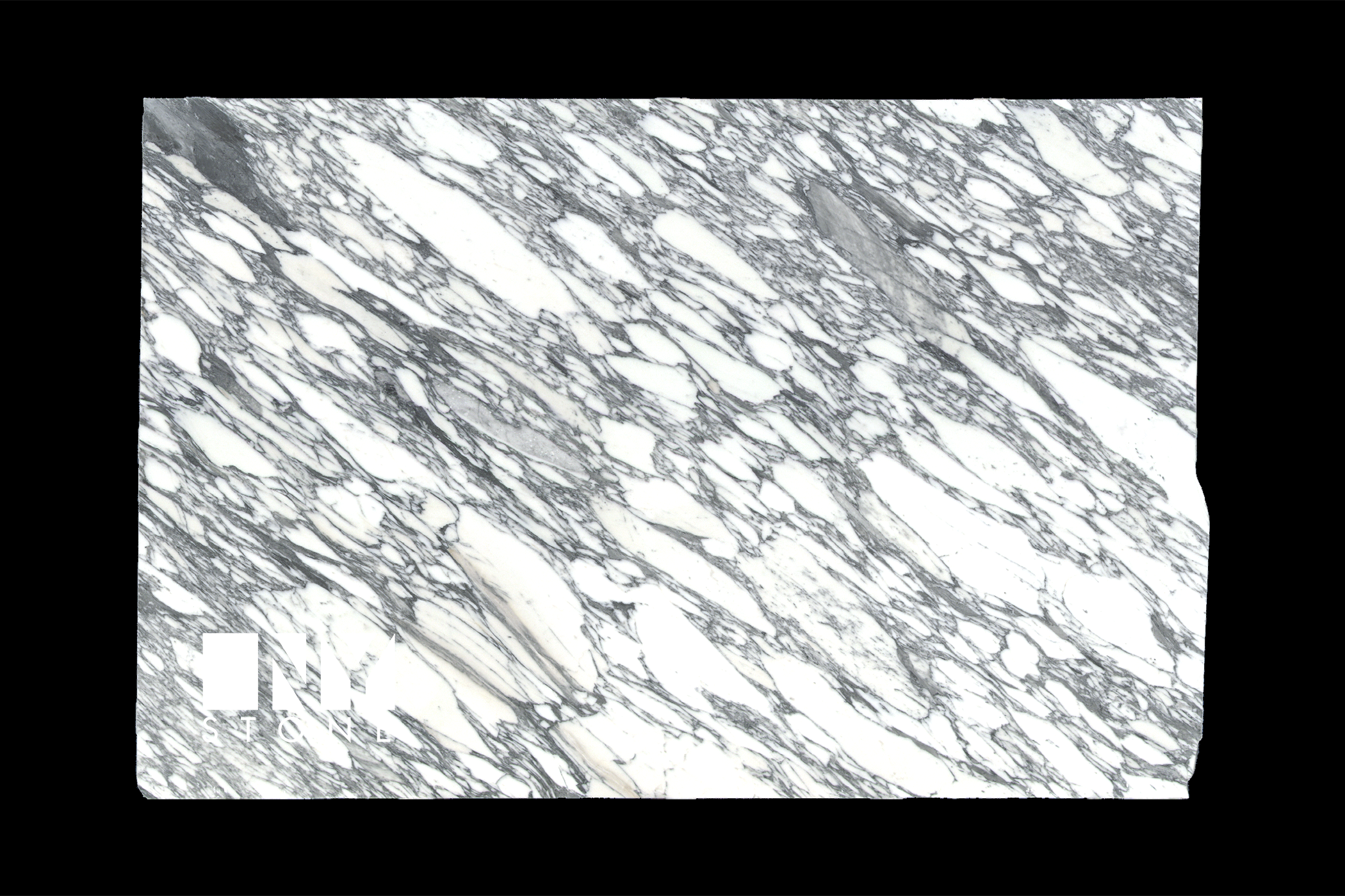 Arabescato Corchia Marble