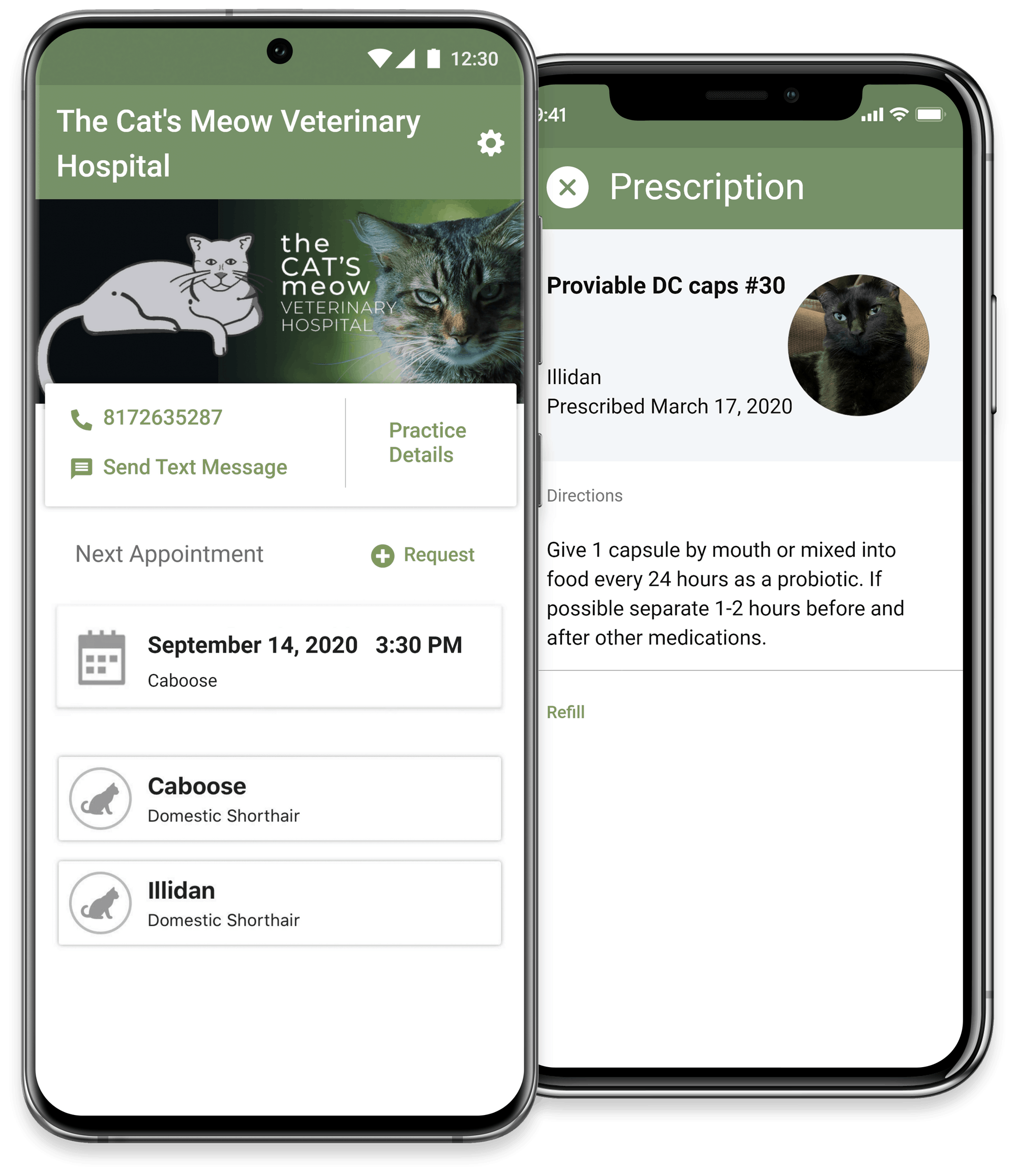 The Cat's Meow Veterinary Hospital Cat Animal Clinic Fort Worth, TX