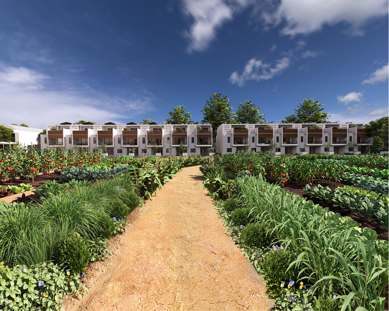 Experience Damaragidda