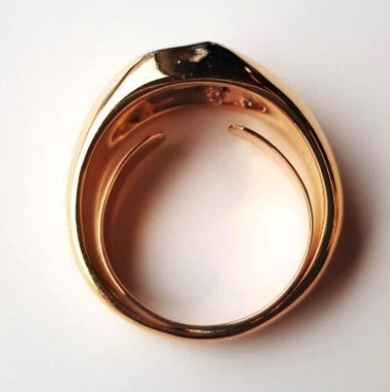 Ring with Spring Clips