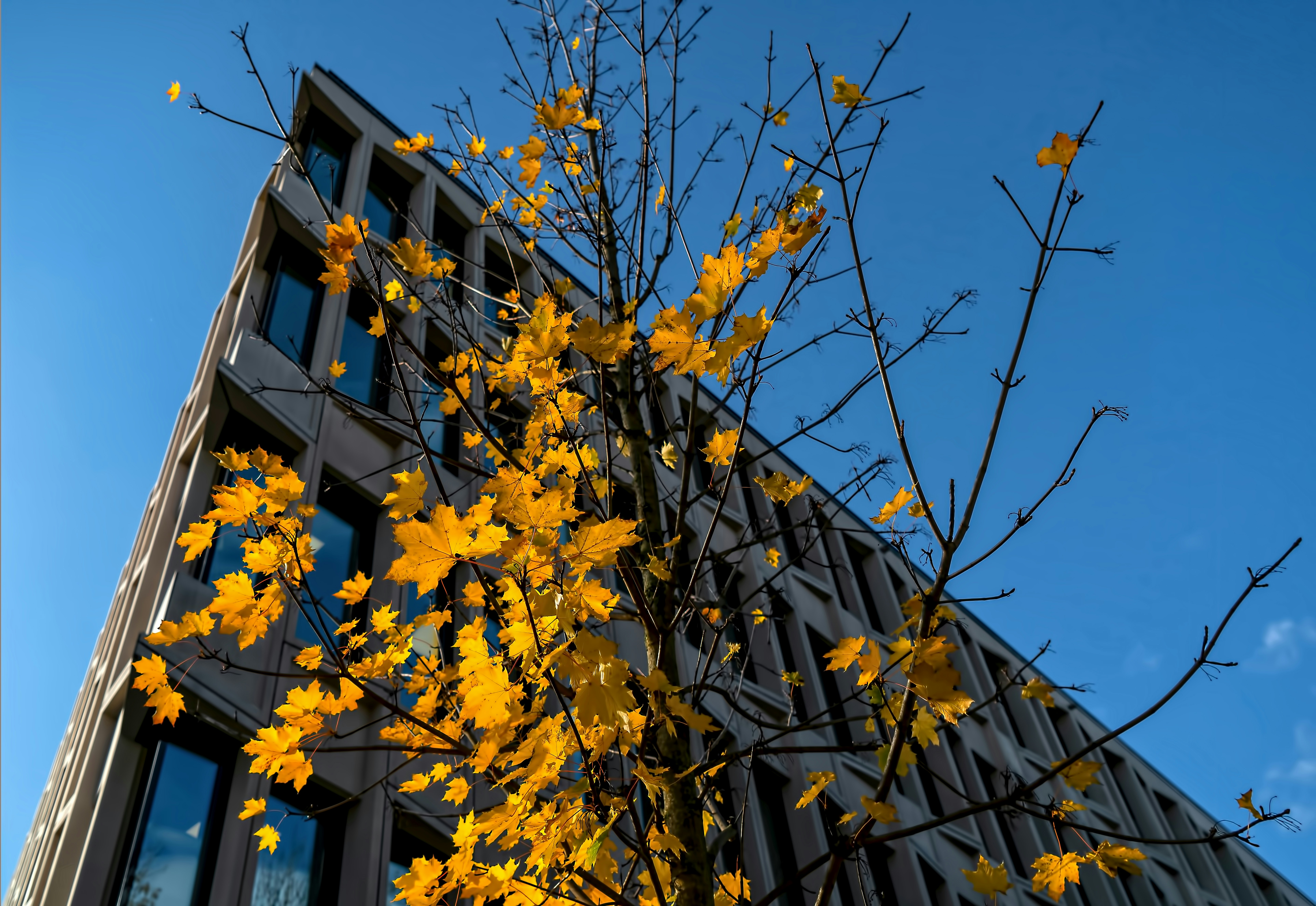 Why Autumn is the Perfect Time for an Office Move
