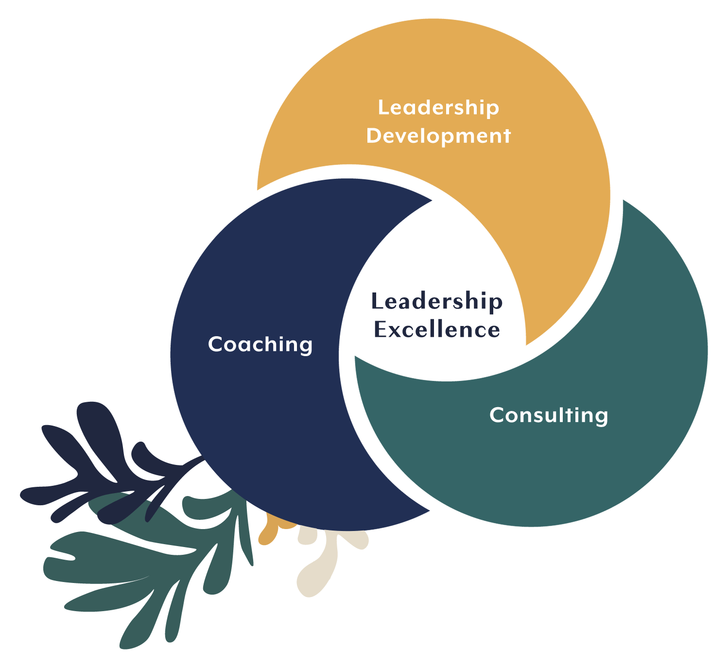 Leadership Excellence Diagram