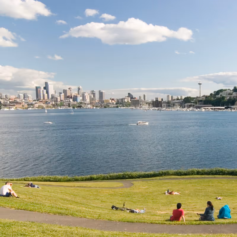city of seattle from a park
