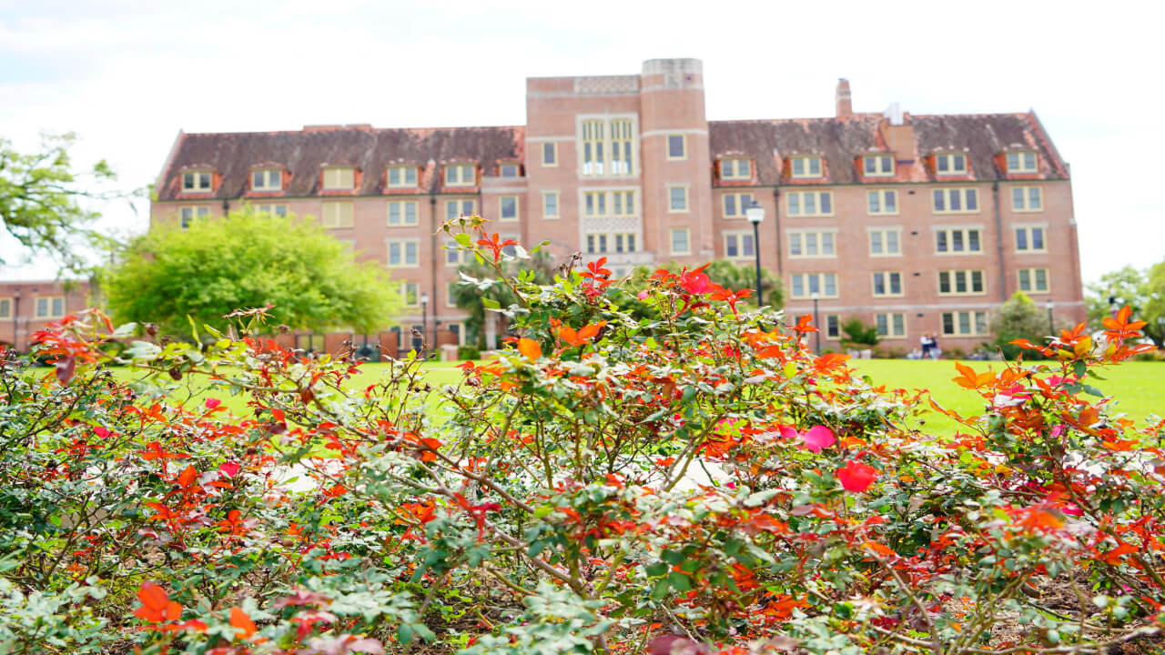 stock photo of florida state university in the distance